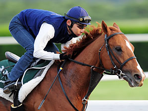 Casino Drive's Journey to Cup Begins Casino Drive's Journey to Cup Begins