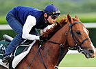 Casino Drive's Journey to Cup Begins
