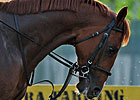 Casino Drive to Stand in Japan Casino Drive to Stand in Japan