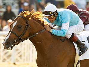 Cup Countdown: No Ordinary Horse Cup Countdown: No Ordinary Horse