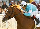 Cup Countdown: No Ordinary Horse