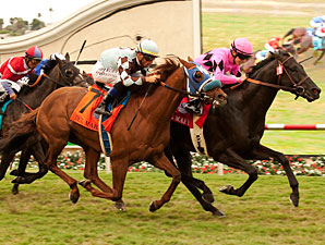 Casino Host Feels At Home in Del Mar 'Cap Casino Host Feels At Home in Del Mar 'Cap