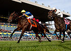 Caspar Netscher Up in Time for Nearctic Win Caspar Netscher Up in Time for Nearctic Win