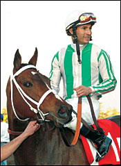 Top Mares to be Offered in November Top Mares to be Offered in November
