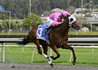 Cathy's Crunches Heads California Oaks Cast Cathy's Crunches Heads California Oaks Cast