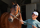 OH-Bred Catlaunch, a 40-Time Winner, Retired OH-Bred Catlaunch, a 40-Time Winner, Retired