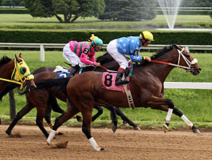Catlaunch, 10, Wins 19th Stakes of Career Catlaunch, 10, Wins 19th Stakes of Career