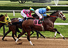 Catlaunch, 10, Wins 19th Stakes of Career Catlaunch, 10, Wins 19th Stakes of Career