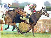 Churchill Downs Racing Report: Caught by Surprise Churchill Downs Racing Report: Caught by Surprise