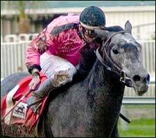 Cause to Believe Heads Late Triple Crown Nominees Cause to Believe Heads Late Triple Crown Nominees