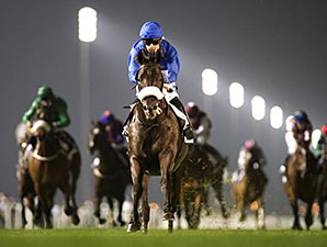 Cavalryman Sets Record in Nad Al Sheba Trophy Cavalryman Sets Record in Nad Al Sheba Trophy