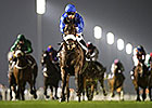 Cavalryman Dies After Injury at Meydan Cavalryman Dies After Injury at Meydan