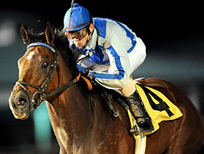 Cease Ends Stakes Drought in Maxxam Gold Cup Cease Ends Stakes Drought in Maxxam Gold Cup