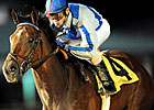 Cease Ends Stakes Drought in Maxxam Gold Cup Cease Ends Stakes Drought in Maxxam Gold Cup