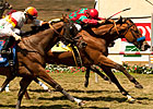 Celtic New Year Rings in Breeders' Cup Berth Celtic New Year Rings in Breeders' Cup Berth