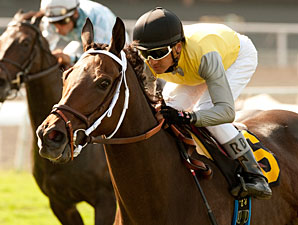 Celtic Princess Takes Royal Heroine Mile Celtic Princess Takes Royal Heroine Mile