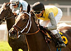 Celtic Princess Takes Royal Heroine Mile Celtic Princess Takes Royal Heroine Mile
