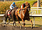 Centralinteligence Commandeers Triple Bend Centralinteligence Commandeers Triple Bend