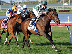 Centre Court Sharp in Honey Fox Season Debut Centre Court Sharp in Honey Fox Season Debut