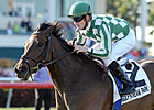 Ballston Spa Stakes Draws Competitive Field Ballston Spa Stakes Draws Competitive Field