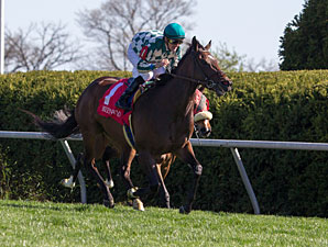 Centre Court Runs Down 'Daisy' in Jenny Wiley Centre Court Runs Down 'Daisy' in Jenny Wiley