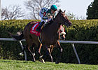 Centre Court Runs Down 'Daisy' in Jenny Wiley