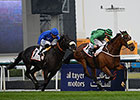 Certerach Denies Cavalryman in Dubai Gold Cup Certerach Denies Cavalryman in Dubai Gold Cup