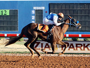 Jockey Medellin Wins Seven Races at Zia Jockey Medellin Wins Seven Races at Zia