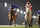 Certify, Mujaarib Win Group Races at Meydan Certify, Mujaarib Win Group Races at Meydan
