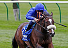 Certify Takes Fillies' Mile, Unlikely for BC Certify Takes Fillies' Mile, Unlikely for BC