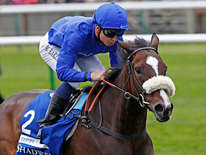 Certify Set for Comeback in Cape Verdi Certify Set for Comeback in Cape Verdi
