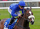 Certify Set for Comeback in Cape Verdi Certify Set for Comeback in Cape Verdi