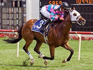 Chamberlain Bridge Back for Twin Spires Race Chamberlain Bridge Back for Twin Spires Race