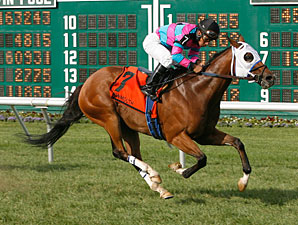 Fair Grounds Hosts 'Super Santa Saturday' Fair Grounds Hosts 'Super Santa Saturday'