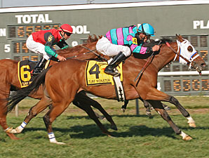 Chamberlain Bridge Heads Turf Sprint at CD Chamberlain Bridge Heads Turf Sprint at CD