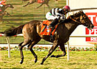 Champ Pegasus Takes Wing in Del Mar Handicap Champ Pegasus Takes Wing in Del Mar Handicap