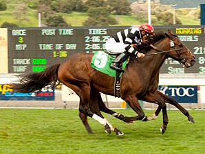 Del Mar Mile Attracts Champ Pegasus Del Mar Mile Attracts Champ Pegasus
