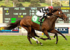 Champ Pegasus Retired to Legacy in California