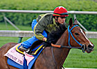 Champagne Looking to Celebrate in Oaks   