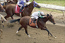 Champali Wins Phoenix BC at Keeneland Champali Wins Phoenix BC at Keeneland