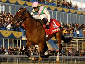 Champs Elysees Goes Out On Top at Woodbine Champs Elysees Goes Out On Top at Woodbine
