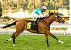 Elkhorn: Champs Elysees Tries Keeneland Elkhorn: Champs Elysees Tries Keeneland