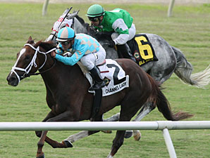 Channel Lady Proves Best in All Along Stakes Channel Lady Proves Best in All Along Stakes
