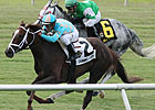 Channel Lady Proves Best in All Along Stakes Channel Lady Proves Best in All Along Stakes