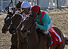 Chantilly Nayla Tops Field in Arlington Oaks Chantilly Nayla Tops Field in Arlington Oaks