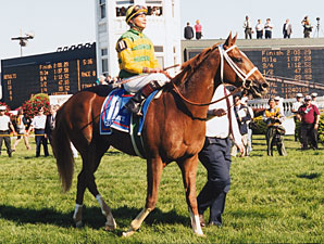 Tom Roach, Co-Breeder of Charismatic, Dies Tom Roach, Co-Breeder of Charismatic, Dies