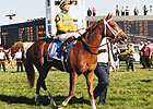 Tom Roach, Co-Breeder of Charismatic, Dies Tom Roach, Co-Breeder of Charismatic, Dies