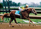Coolmore Lexington: A Prep in Its Prime