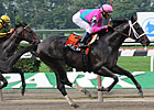 Solid Field Entered For Peter Pan Solid Field Entered For Peter Pan