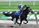 Charitable Man Ready for the Belmont Charitable Man Ready for the Belmont
